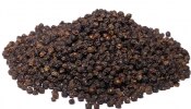 Benefits of Black Pepper: ಶೀತ ಜ್ವರ ಸೇರಿದಂತೆ ಅನೇಕ ರೋಗಗಳಿಗೆ ರಾಮಬಾಣ ಕಾಳು ಮೆಣಸು