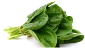 Spinach Benefits : ಪಾಲಕ್ ಸೇವಿಸಿ 5 ಅದ್ಭುತ ಆರೋಗ್ಯ ಪ್ರಯೋಜನಗಳನ್ನು ಪಡೆಯಿರಿ