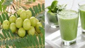 Immunity Booster Drink: ಕರೋನಾ ಯುಗದಲ್ಲಿ ರಾಮಬಾಣವಾಗಿ ಕಾರ್ಯನಿರ್ವಹಿಸಲಿದೆ ಈ  ಪಾನೀಯ 