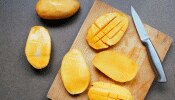 Poisonous Mangoes: ನೀವೂ ಸಹ ಕೆಮಿಕಲ್ಸ್ ಪೂರಿತ ವಿಷಕಾರಿ ಮಾವಿನ ಹಣ್ಣನ್ನು ತಿನ್ನುತ್ತಿದ್ದೀರಾ? ಅದನ್ನು ಸುಲಭವಾಗಿ ಗುರುತಿಸಿ