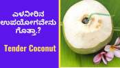 Benefits Of Coconut Water: ಬೇಸಿಗೆಯಲ್ಲಿ ಎಳನೀರಿನ ಸೇವನೆ ಏಕೆ ಮುಖ್ಯ? 