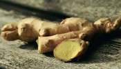 Side Effects of Ginger: ಎಚ್ಚರ! ಶುಂಠಿಯ ಮಿತಿಮೀರಿದ ಸೇವನೆ ಅಪಾಯಕಾರಿ