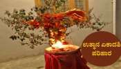 Utthana Ekadashi 2022: ತುಳಸಿ ವಿವಾಹದ ಸಮಯದಲ್ಲಿ ಈ ವಸ್ತುವನ್ನು ಅರ್ಪಿಸುವುದರಿಂದ ಸಂಪತ್ತು ಪ್ರಾಪ್ತಿ 