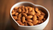 Almond : ಬಾದಾಮಿ ಸೇವನೆಯಿಂದ ಆರೋಗ್ಯಕ್ಕಿದೆ 5 ಪ್ರಯೋಜನಗಳು!