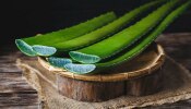 Side Effects Of Aloe Vera On Health: ಲೋಳೆಸರದ ಲಾಭಗಳ ಕುರಿತು ನೀವು ಕೇಳಿರಬಹುದು... ಹಾನಿಗಳ ಕುರಿತು ಗೊತ್ತಿದೆಯಾ?