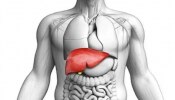 Fatty Liver Disease: ಕೇವಲ ಅಲ್ಕೋಹಾಲ್ ನಿಂದ ಮಾತ್ರ ಅಲ್ಲ, ಈ ಅಭ್ಯಾಸಗಳಿಂದಲೂ ಫ್ಯಾಟಿ ಲಿವರ್ ಸಮಸ್ಯೆ ಎದುರಾಗಬಹುದು