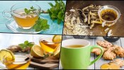 Tea Benefits : ಚಳಿಗಾಲದಲ್ಲಿ ಈ 4 ಗಿಡಮೂಲಿಕೆ ಚಹಾ ಕುಡಿಯಿರಿ, ಅದ್ಭುತ ಪ್ರಯೋಜನಗಳಿವೆ!