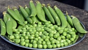 Green Peas Side Effects:ಅಡುಗೆಯಲ್ಲಿ ಬಟಾಣಿ ಬಳಸುವವರೇ ಎಚ್ಚರ! ಇಲ್ಲಿವೆ ಬಟಾಣಿಯ ಅಡ್ಡ ಪರಿಣಾಮಗಳು