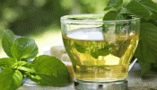 Green Tea : ನೀವು ಗ್ರೀನ್ ಟೀ ಸೇವಿಸುತ್ತೀರಾ ? ಹಾಗಿದ್ದರೆ ಇದನ್ನೊಮ್ಮೆ ಓದಲೇಬೇಕು
