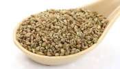 Benefits of Ajwain : ರಾತ್ರಿ ಮಲಗುವ ಮುನ್ನ ತಿಂದರೆ ಒಮಕಾಳು ಆರೋಗ್ಯಕ್ಕಾಗಲಿದೆ ಪ್ರಯೋಜನ  