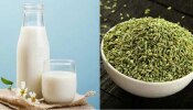 Fennel Milk Benefits : ನಿಮ್ಮ ದೇಹದ ದೌರ್ಬಲ್ಯ ನಿವಾರಿಸಲು ಹಾಲಿನಲ್ಲಿ ಇದನ್ನು ಬೆರೆಸಿ ಕುಡಿಯಿರಿ!