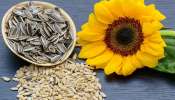 Benefits of Seeds: ಮೆದುಳು ಸೂಪರ್ ಕಂಪ್ಯೂಟರ್ ಥರ ಕೆಲಸ ಮಾಡಲು ಪ್ರತೀದಿನ ಈ ಬೀಜಗಳನ್ನು ಸೇವಿಸಿ