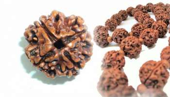 Rudraksha: ರುದ್ರಾಕ್ಷದಲ್ಲಿ ಅಡಗಿದೆ ಜೀವನದ ಪವಾಡ: ಶಂಕರನ ಆಶೀರ್ವಾದ ಪಡೆಯಲು ಇಷ್ಟು ಮುಖದ ರುದ್ರಾಕ್ಷ ಧರಿಸಿದರೆ ಒಳಿತು