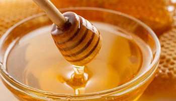 Honey Benefits: ರಾತ್ರಿ ಮಲಗುವ ಮುನ್ನ  ಜೇನು ತುಪ್ಪ ಸೇವಿಸುವುದರಿಂದ ಸಿಗಲಿದೆ ಈ ಐದು ಪ್ರಯೋಜನಗಳು 