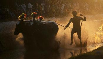 ಕರಾವಳಿ ಕ್ರೀಡೆ &#039;ಕಂಬಳ&#039;ಕ್ಕೆ ಸುಪ್ರೀಂ ಗ್ರೀನ್ ಸಿಗ್ನಲ್