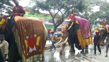 ನಾಡಹಬ್ಬ ದಸರಾ ಗಜಪಯಣಕ್ಕೆ ಮುಹೂರ್ತ ಫಿಕ್ಸ್