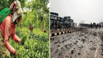 ಪುಲ್ವಾಮಾ ದಾಳಿ: ದೇಶ ಮೊದಲು, ಪಾಕ್​ಗೆ ಟೀ ರಫ್ತು ಸ್ಥಗಿತಗೊಳಿಸಲು ಸಿದ್ಧ- ಐಟಿಇಎ