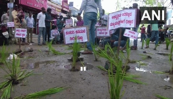 ಶಿವಮೊಗ್ಗ: ರಸ್ತೆ ಗುಂಡಿಗಳಲ್ಲಿ ಸಸಿ ನೆಟ್ಟು ವಿದ್ಯಾರ್ಥಿಗಳ ಪ್ರತಿಭಟನೆ