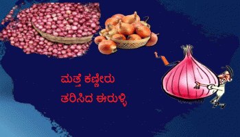 ಬೆಂಗಳೂರು ಮಾರುಕಟ್ಟೆಯಲ್ಲಿ ಪ್ರತಿ ಕೆಜಿ ಈರುಳ್ಳಿ ಬೆಲೆ ಎಷ್ಟು ಗೊತ್ತಾ?