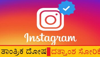 Facebook Bug: ಹಲವು Instagram ಬಳಕೆದಾರರ ವೈಯಕ್ತಿಕ ಮಾಹಿತಿ ಸೋರಿಕೆ