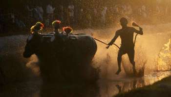 Kambala: ಕರಾವಳಿ ಜಾನಪದ ಕ್ರೀಡೆ ಕಂಬಳಕ್ಕೆ ಪ್ರವಾಸೋದ್ಯಮ ಇಲಾಖೆ ಉಡುಗೊರೆ