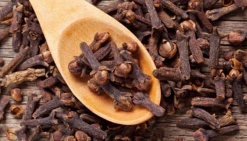 Clove Benefits: ಪ್ರತಿದಿನ ರಾತ್ರಿ 2 ಲವಂಗ ತಿನ್ನುವುದರಿಂದ ಎಷ್ಟೆಲ್ಲಾ ಪ್ರಯೋಜನಗಳು ಗೋತ್ತಾ?