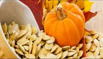 Pumpkin Seeds Benefits : ಪುರುಷರ ಆರೋಗ್ಯಕ್ಕೆ ಕುಂಬಳಕಾಯಿ ಬೀಜ : ಇಲ್ಲಿದೆ ನೋಡಿ ಅದರ ಪ್ರಯೋಜನ!