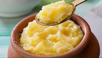 Ghee Benefits : ಮಹಿಳೆಯರಿಗೆ ದೇಸಿ ತುಪ್ಪದ 5 ಅದ್ಭುತ ಪ್ರಯೋಜನಗಳು : ಇಲ್ಲಿವೆ ನೋಡಿ!