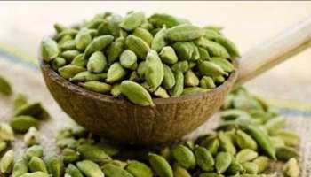 Cardamom Benefits : ಶ್ವಾಸಕೋಶಕ್ಕೆ ಪ್ರಯೋಜನಕಾರಿ &#039;ಏಲಕ್ಕಿ&#039; : ಇಲ್ಲಿದೆ ಅದರ ಪ್ರಯೋಜನಗಳು!