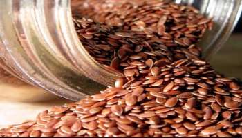 Flax Seeds Benefits : BP ಸಮಸ್ಯೆ ಇರುವವರು ತಪ್ಪದೆ ಸೇವಿಸಿ ಅಗಸೆ ಬೀಜ! ಇಲ್ಲಿದೆ ಅದರ ಪ್ರಯೋಜನಗಳು!