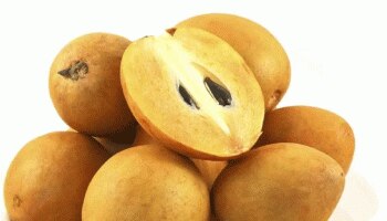 Beauty Benefits of Chikoo: ಉತ್ತಮ ಚರ್ಮ, ಕೂದಲಿಗಾಗಿ ಬಳಸಿ ಸಪೋಟಾ ಮಾಸ್ಕ್ 