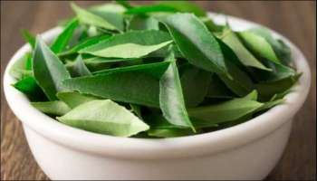 Curry Leaves Benefits : ಕರಿಬೇವಿನ ಎಲೆಯಲ್ಲಿದೆ ನಿಮ್ಮ ಆರೋಗ್ಯದ ಗುಟ್ಟು : ಇಲ್ಲಿದೆ ಅದರ 5 ಪ್ರಯೋಜನಗಳು!