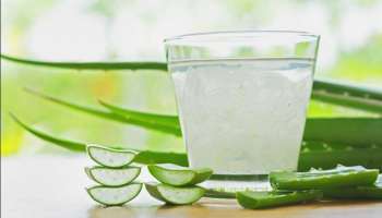 Aloe Vera Juice : ರೋಗ ನಿರೋಧಕ ಶಕ್ತಿಗೆ &#039;ಅಲೋವೆರಾ ಜ್ಯೂಸ್&#039; : ಇಲ್ಲಿದೆ ಪ್ರಯೋಜನಗಳು!