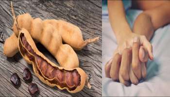 Tamarind Seeds Benefits : ಪುರುಷರ ಆರೋಗ್ಯಕ್ಕೆ ಪ್ರಯೋಜನಕಾರಿ ಹುಣಸೆ ಬೀಜ : ಇಲ್ಲಿದೆ ಅದರ ಪಾಕ ವಿಧಾನ! 