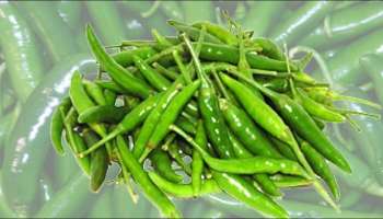 Benefits of Green Chili : ರೋಗ ನಿರೋಧಕ ಶಕ್ತಿ ಹೆಚ್ಚಿಸುವುದರ ಜೊತೆಗೆ, ಕಣ್ಣಿನ ಕಾಳಜಿ ವಹಿಸುತ್ತದೆ ಹಸಿರು ಮೆಣಸಿನಕಾಯಿ! 