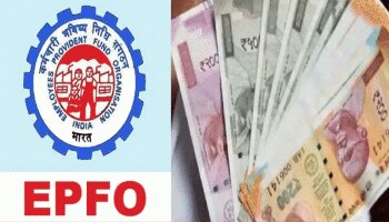 EPFO Interest Calculation- ನಿಮ್ಮ ಪಿಎಫ್‌ನ ಬಡ್ಡಿಯನ್ನು ಹೇಗೆ ಲೆಕ್ಕಹಾಕಲಾಗುತ್ತದೆ ಎಂದು ತಿಳಿದಿದೆಯೇ?