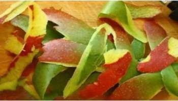 Mango Peel For Healthy Skin:  ಟ್ಯಾನಿಂಗ್ , ಬ್ಲಾಕ್ ಹೆಡ್ಸ್ ಸಮಸ್ಯೆಯಿಂದ ಮುಕ್ತಿ ನೀಡಲಿದೆ ಮಾವಿನಹಣ್ಣಿನ ಸಿಪ್ಪೆ 