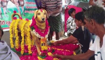 Pet Love: ಸಾವನ್ನಪ್ಪಿದ ಮುದ್ದಿನ ನಾಯಿಯ ಕಂಚಿನ ಪ್ರತಿಮೆ ನಿರ್ಮಿಸಿದ ವ್ಯಕ್ತಿ..!  