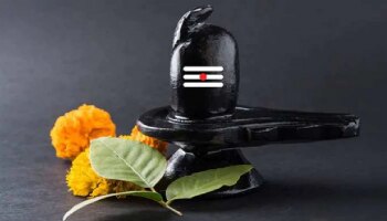 Shravan Mas 2021: ಇಂದಿನಿಂದ ಶ್ರಾವಣ ಮಾಸ ಆರಂಭ, ಮೊದಲ ಸೋಮವಾರ ಶಿವನನ್ನು ಒಲಿಸಿಕೊಳ್ಳಲು ಈ ರೀತಿ ಪೂಜೆ ಸಲ್ಲಿಸಿ