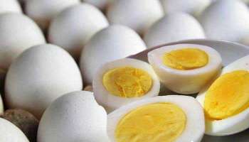 Egg White: ನಿಮಗೂ ಈ ರೀತಿ ಮೊಟ್ಟೆ ತಿನ್ನುವ ಅಭ್ಯಾಸವಿದೆಯೇ? ಇದರಿಂದ ನಿಮಗಾಗುವ ನಷ್ಟವೇನು ಗೊತ್ತೇ?