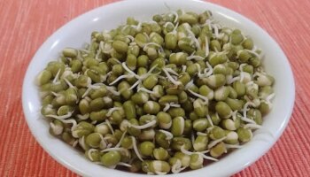 Sprouted Moong Benefits : ಪ್ರತಿ ದಿನ ಈ ಸಮಯದಲ್ಲಿ ಮೊಳಕೆ ಕಾಳು ಸೇವಿಸಿ ; ಉತ್ತಮ ಆರೋಗ್ಯ ನಿಮ್ಮದಾಗಿಸಿಕೊಳ್ಳಿ!