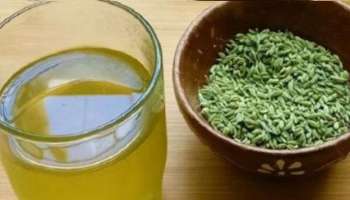 Benefits of Fennel Water: ಹೊಟ್ಟೆಯ ಬೊಜ್ಜು ಕರಗಿಸಲು ಈ ಪವರ್‌ಫುಲ್ ಪಾನೀಯವನ್ನು ಒಮ್ಮೆ ಟ್ರೈ ಮಾಡಿ 