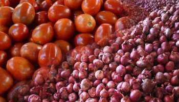 Tomato Price Rise:  ಟೊಮೆಟೊ ಬೆಲೆ ದುಪ್ಪಟ್ಟು, ಈರುಳ್ಳಿ ಬೆಲೆಯಲ್ಲೂ ಆಗಲಿದೆ ಏರಿಕೆ ಕಾರಣ ಏನು ಗೊತ್ತಾ ?