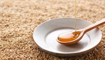 Benefits of Sesame Oil: ಚಳಿಗಾಲದಲ್ಲಿ ಈ ಕಾರಣದಿಂದ ಎಳ್ಳೆಣ್ಣೆ ಬಳಸಿ, ಇಲ್ಲಿವೆ ಅದರ ಐದು ಲಾಭಗಳು