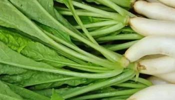 Radish Leaves:ಈ ಗಂಭೀರ ಕಾಯಿಲೆಗಳಿಗೆ ಪರಿಣಾಮಕಾರಿ ಮದ್ದು ಮೂಲಂಗಿ ಎಲೆಗಳು, ಈ ರೀತಿ ಬಳಸಿ