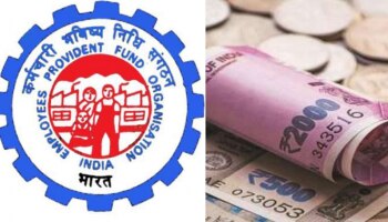 Provident Fund: PF ನಾಮನಿರ್ದೇಶನಗಳನ್ನು ಆನ್‌ಲೈನ್‌ನಲ್ಲಿ ಸಲ್ಲಿಸಲು EPFO ಚಂದಾದಾರರಿಗೆ ಇಲ್ಲಿದೆ ಮಾರ್ಗದರ್ಶಿ 