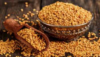 Methi Seeds Benefits : ಪುರುಷರ ದೇಹ ಶಕ್ತಿಗೆ ಪ್ರಯೋಜನಕಾರಿ ಮೆಂತ್ಯ ಬೀಜ : ಹೀಗೆ ಈ ರೀತಿ ಸೇವಿಸಿ!