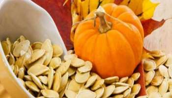 Pumpkin Seeds: ಕುಂಬಳಕಾಯಿ ಬೀಜದಲ್ಲಿದೆ ಔಷಧೀಯ ಗುಣಗಳ ಖಜಾನೆ 