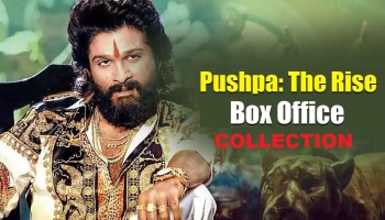 Pushpa Box Office Collection:ಕೇವಲ ಎರಡೇ ದಿನಗಳಲ್ಲಿ 100 ಕೋಟಿ ಕ್ಲಬ್ ಗೆ ಶಾಮೀಲಾದ &#039;ಪುಷ್ಪಾ&#039;