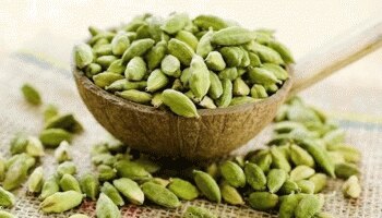 Cardamom Benefits: ಏಲಕ್ಕಿಯನ್ನು ಈ ರೀತಿ ಸೇವಿಸುವುದರಿಂದ ಸಿಗುತ್ತೆ ಹೆಚ್ಚು ಪ್ರಯೋಜನ